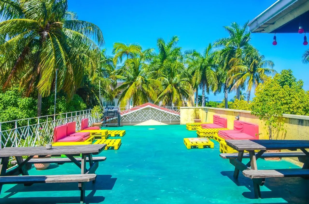 Reggae Hostel Ocho Rios Jamaica