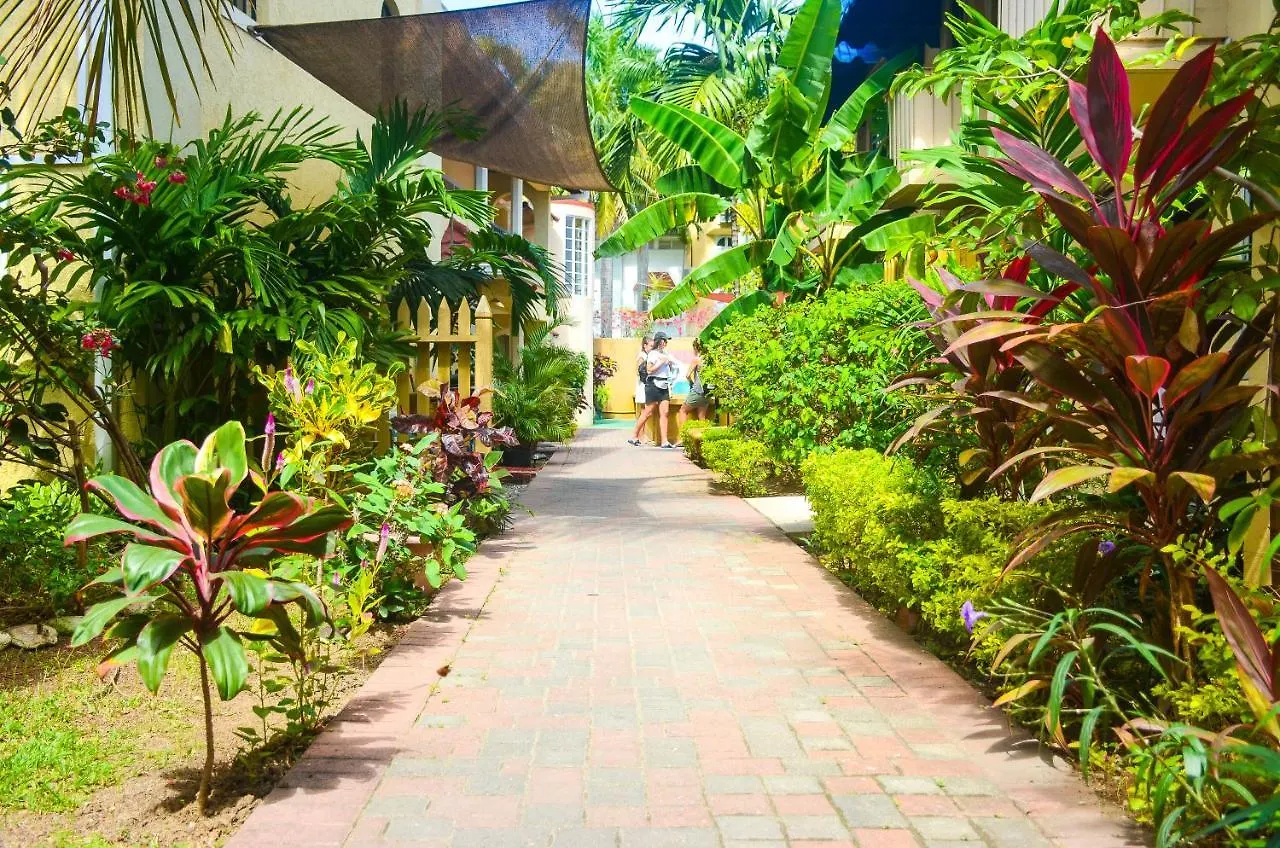 Reggae Hostel Ocho Ríos Jamaica